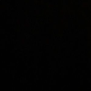 Meet your Posher, Hamisha